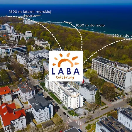 Laba Bivalvi *